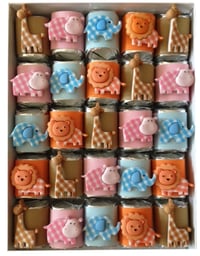 Image 4 of Baby Safari Petite Jewel Box Chocolate Nuggets