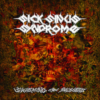 Sick Sinus Sindrome - Swarming of Sickness LP