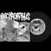 Archagathus / Cystoblastosis Split EP