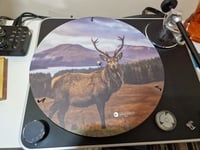 Image 3 of Picture Disk