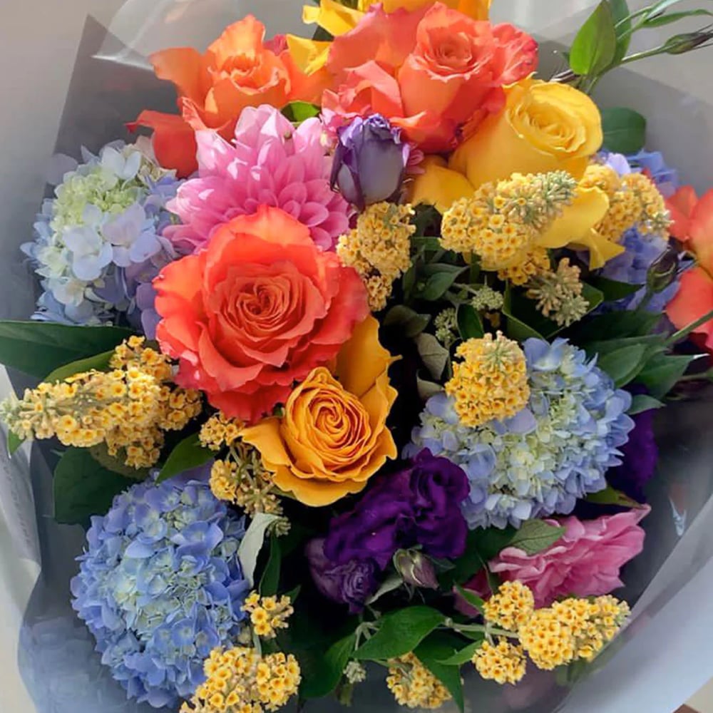 Image of Colour my world