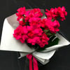 Hot Pink Lover Bouquet