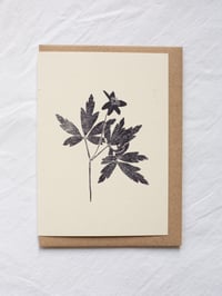 Image 1 of Wood Anemone Greeting Card A6