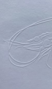 Image 2 of Embossed King Prawn 
