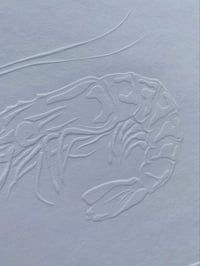Image 3 of Embossed King Prawn 