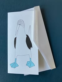 Image 5 of Blue-Footed Booby Card
