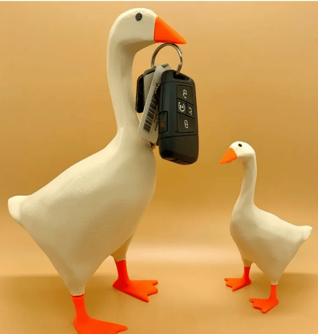 The Magnetic Goose