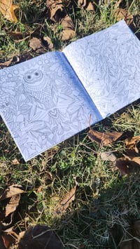 Image 4 of 7x7 Coloring Books