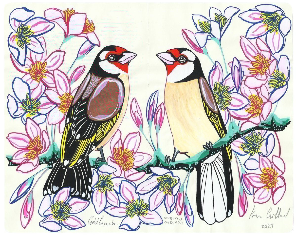 Image of Goldfinch and Clematis