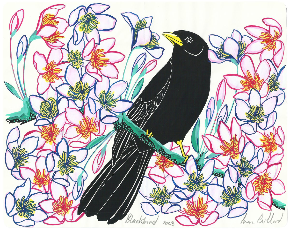 Image of Blackbird and Clematis