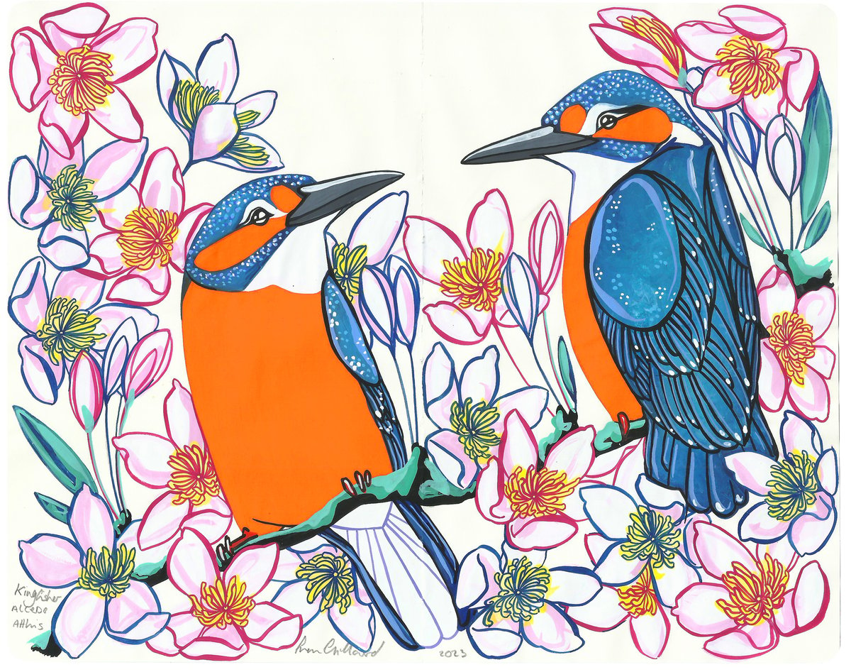 Image of Kingfisher and Clematis