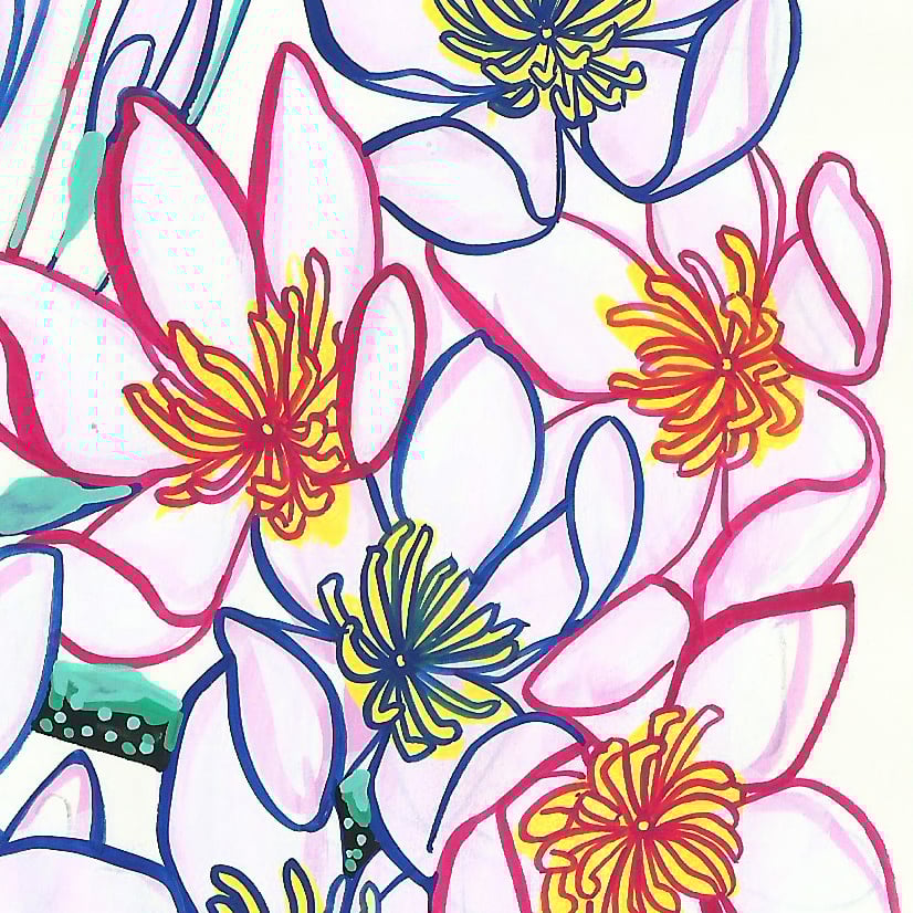 Image of Blackbird and Clematis