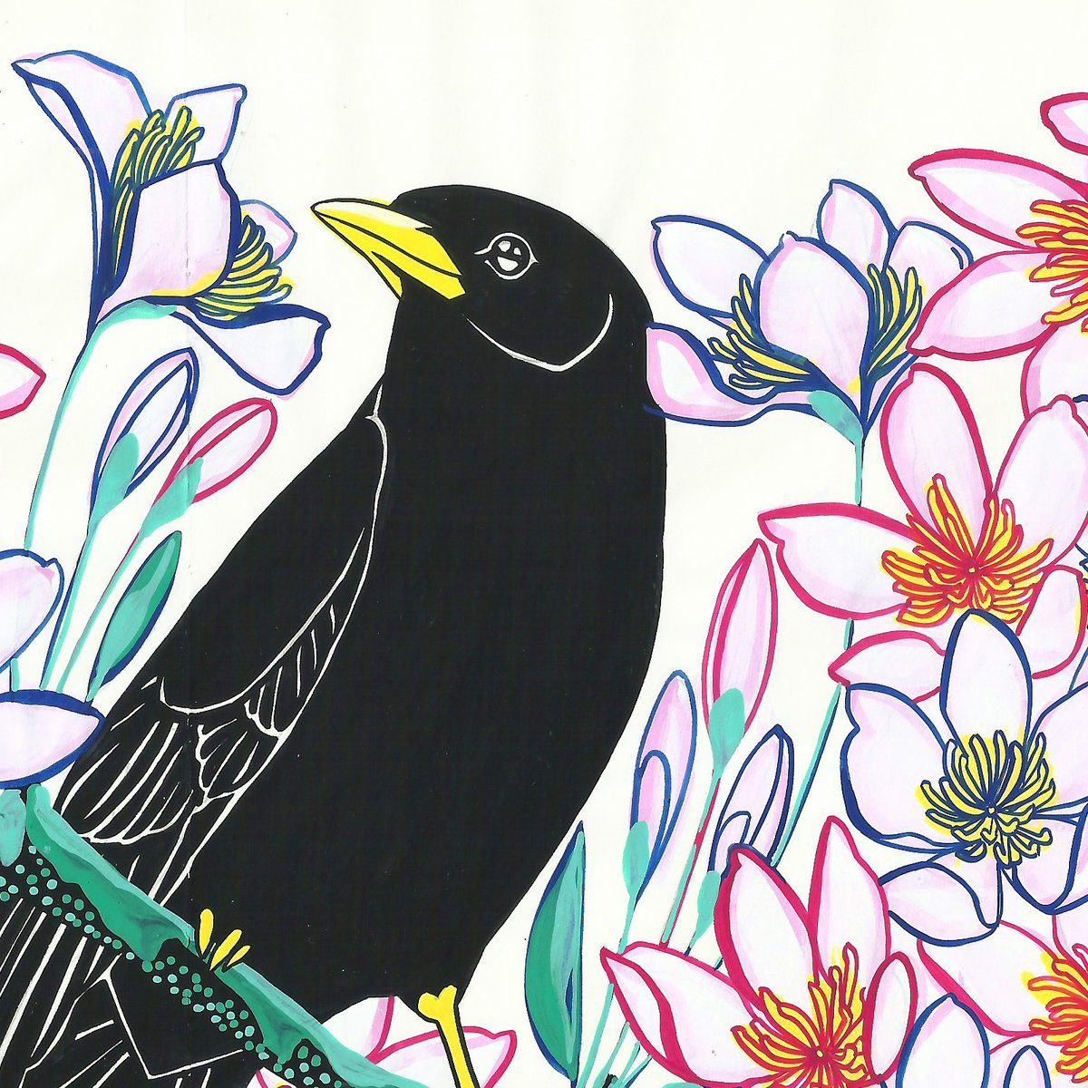 Image of Blackbird and Clematis