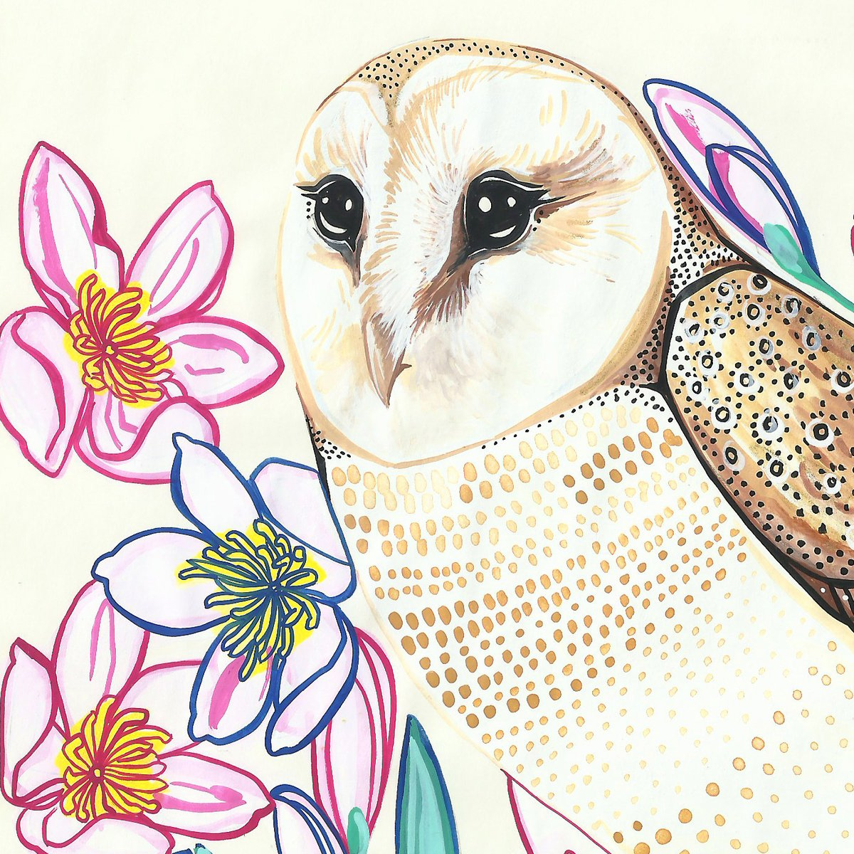 Image of Barn Owl and Clematis