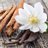 Cinnamon Vanilla (30ML)