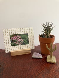 Image of Gold Bees Frame