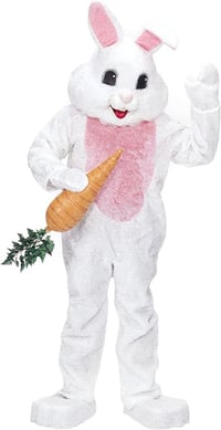 Image 2 of Easter Bunny Costume minis April 12th