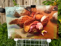 Image 2 of Do Telepaths Dream of Electric Peanuts?