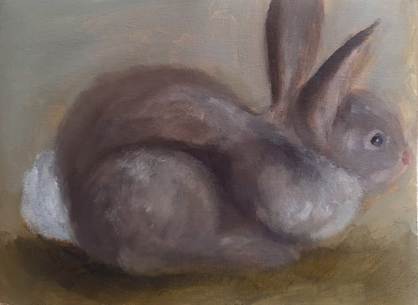 Image of Petit lapin (Jour 6)