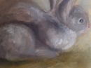 Image 4 of Petit lapin (Jour 6)