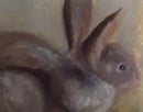 Image 2 of Petit lapin (Jour 6)