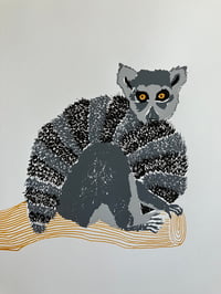 Image 2 of Ring-tailed Lemur print