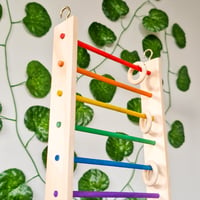 Image 1 of Colourful Wide Ladder