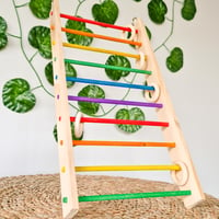 Image 3 of Colourful Wide Ladder