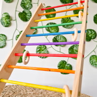 Image 4 of Colourful Wide Ladder