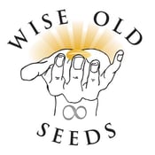 Image of Seeds of Creation - Activating Anti Aging & Cellular Regeneration 