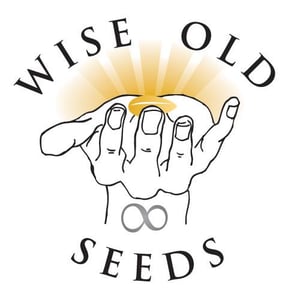 Image of Seeds of Creation - Activating Anti Aging & Cellular Regeneration 