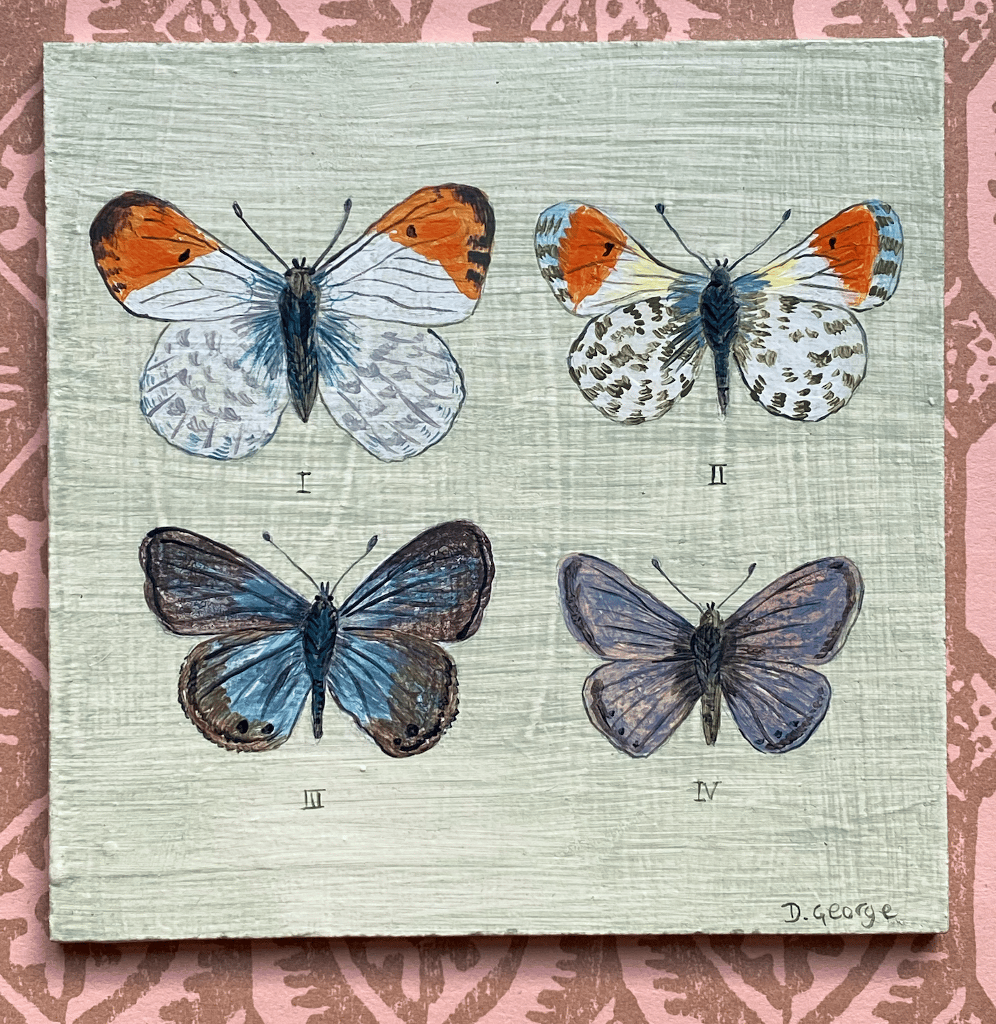 FOUR BUTTERFLIES