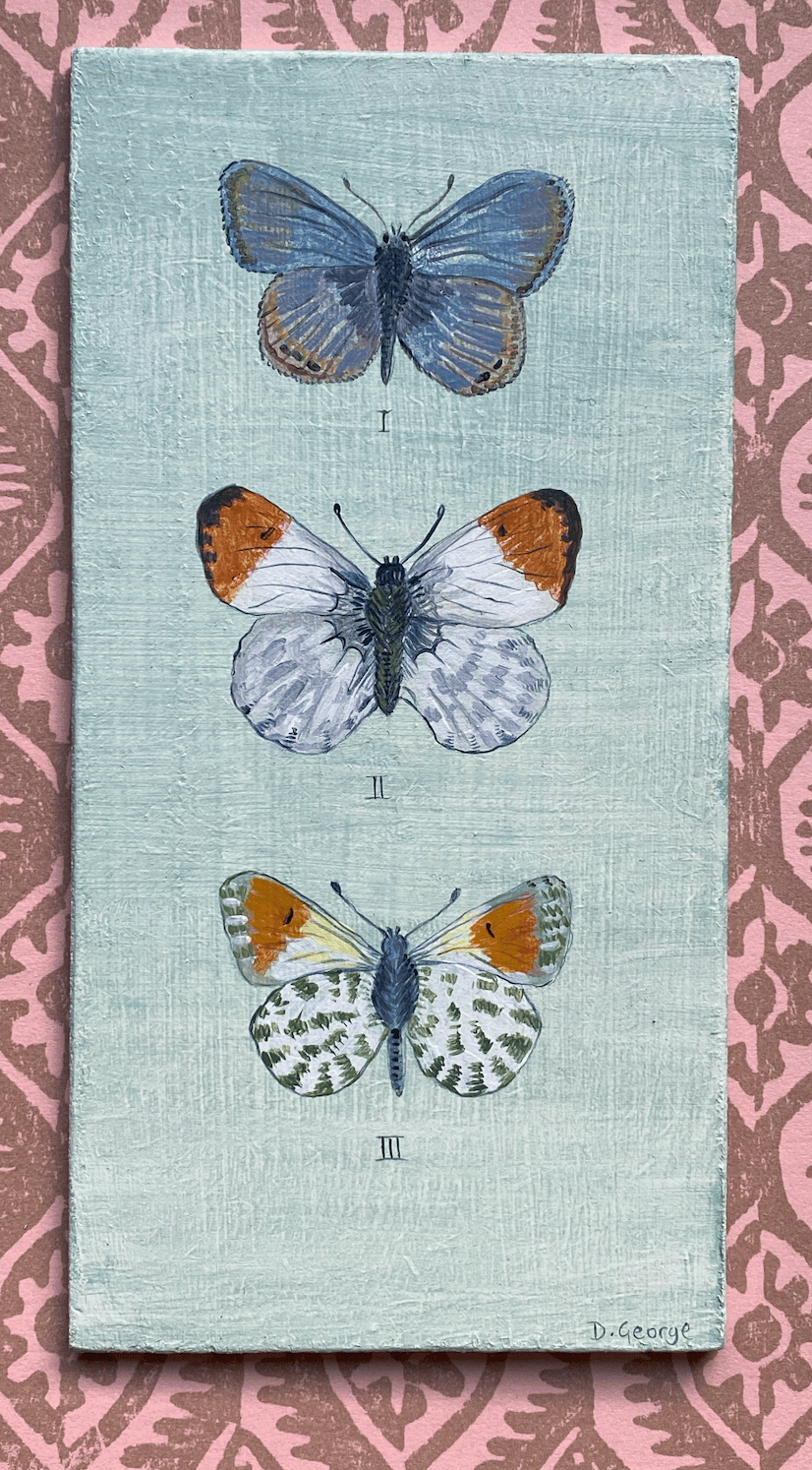 Image of Three Butterflies (A)