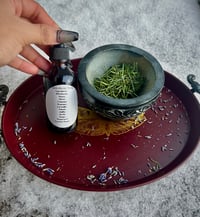 Image 1 of Elderberry Syrup 