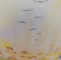 Image 3 of Sherbet Lemon Breeze
