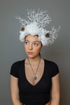 Ice Queen