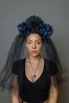 The Widow