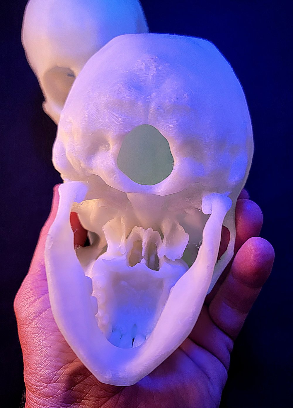 GLOW SKULLS 