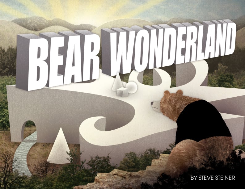 Bear Wonderland - Comic Book