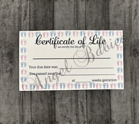 Certificate of Life 