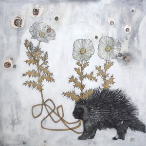 "Porcupine & Prickly Poppies" by Jenn Rawling