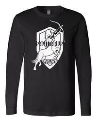 Image 2 of Sagittarius Rising