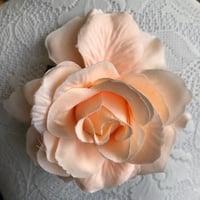 Image 1 of Assorted Large Roses - Page 1