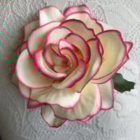 Image 4 of Assorted Large Roses - Page 1