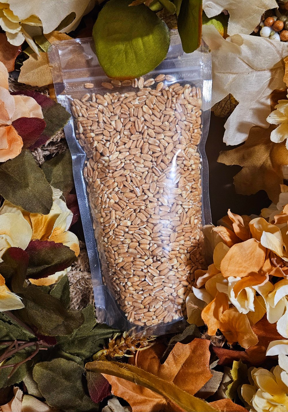 ANCIENT WHEAT 42! Naked European Quick Cook Spelt Berries (Rice-Pilaf/Hot Cereal) Diabetes-Bones.