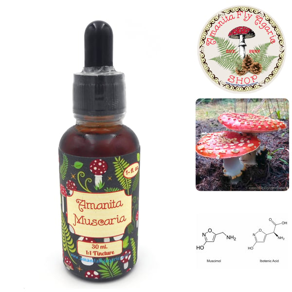 Image of Buy Amanita Tincture | Fly Agaric Mushroom Extract for Sale in USA 🍄 FOR CRAFTS