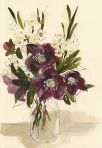 Paperwhites and hellebores