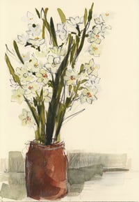 Paperwhites 