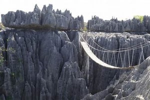 Image of 7 Day Educational Tour to Madagascar