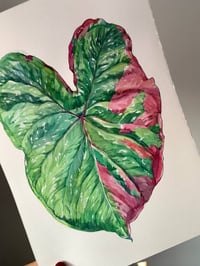 Image 3 of  Caladium Baret Original Artwork
